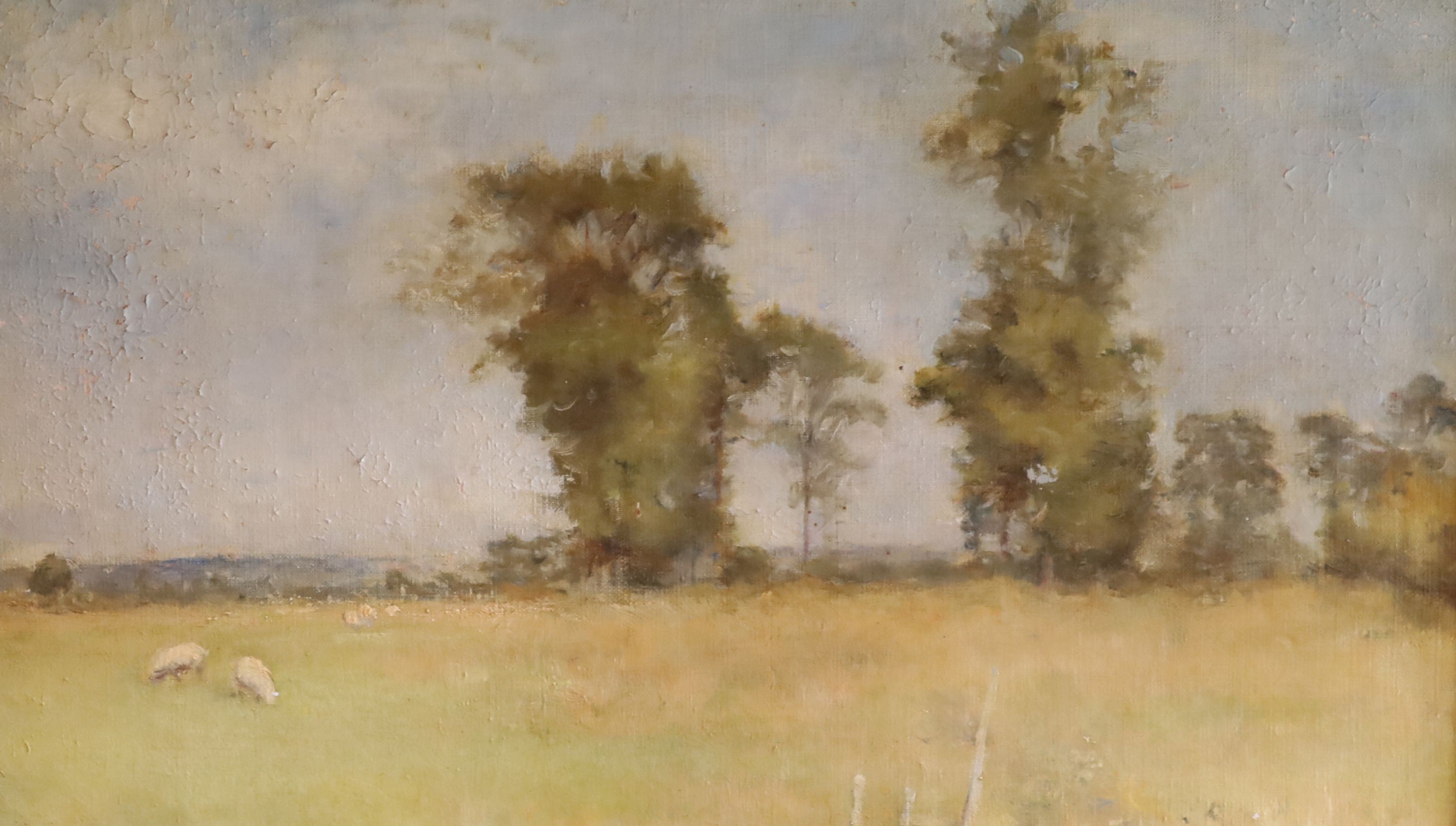 Grace E. Sainsbury (fl.1889-1893), oil on canvas, Sheep in a summer landscape, label verso, 28 x 49cm